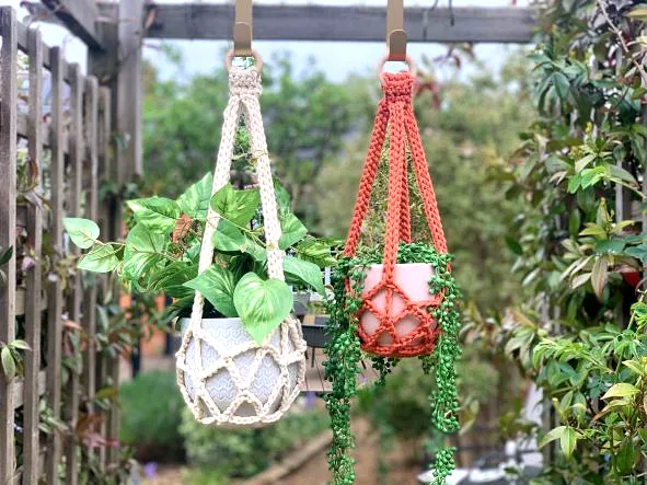 Vibrant Crochet Plant Hanger in Bohemian Style for All Levels