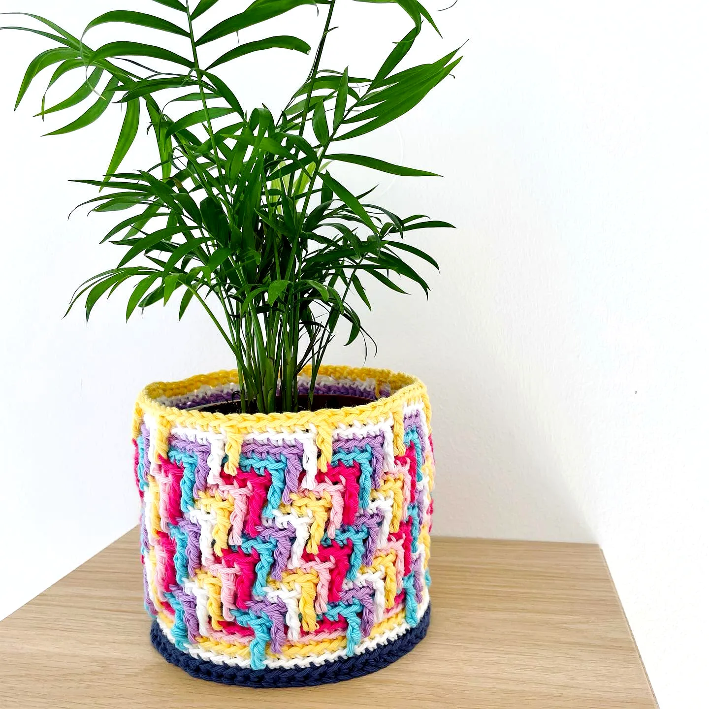 Vibrant Crochet Plant Pot Cover with Stylish Zigzag Design