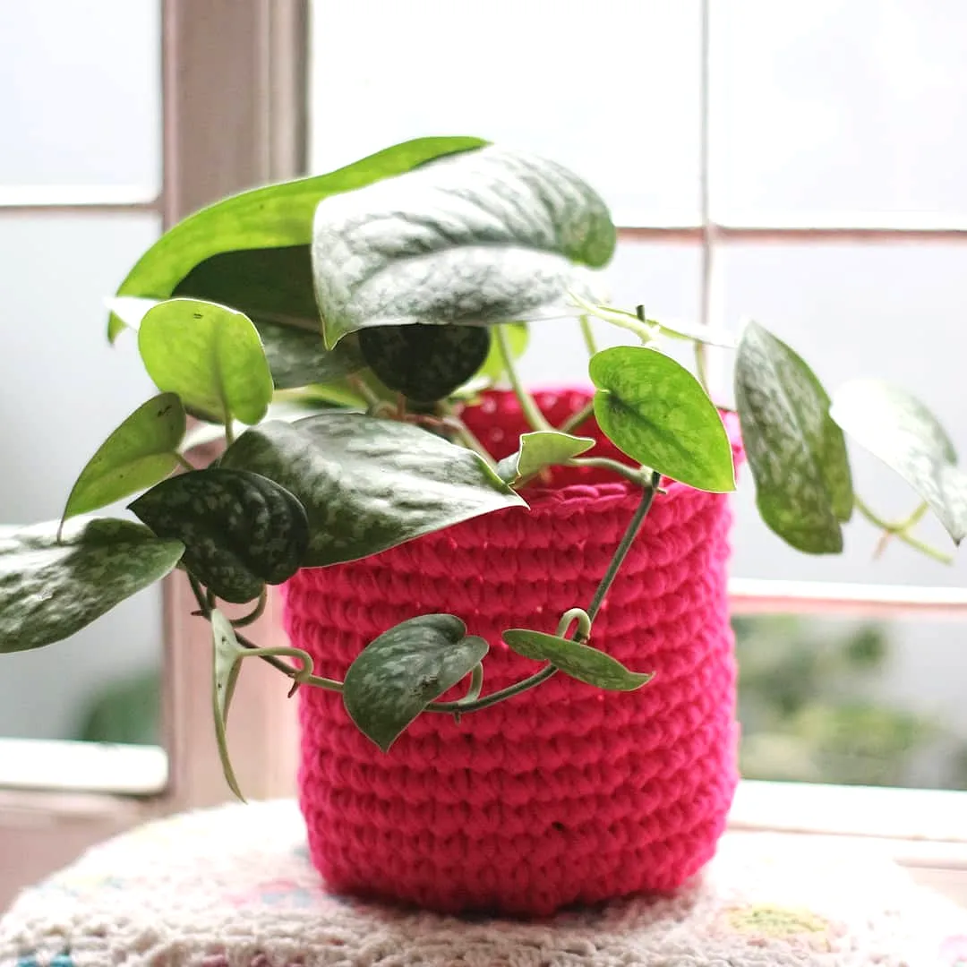 Vibrant Pink Crochet Plant Pot Cover for Stylish Decor