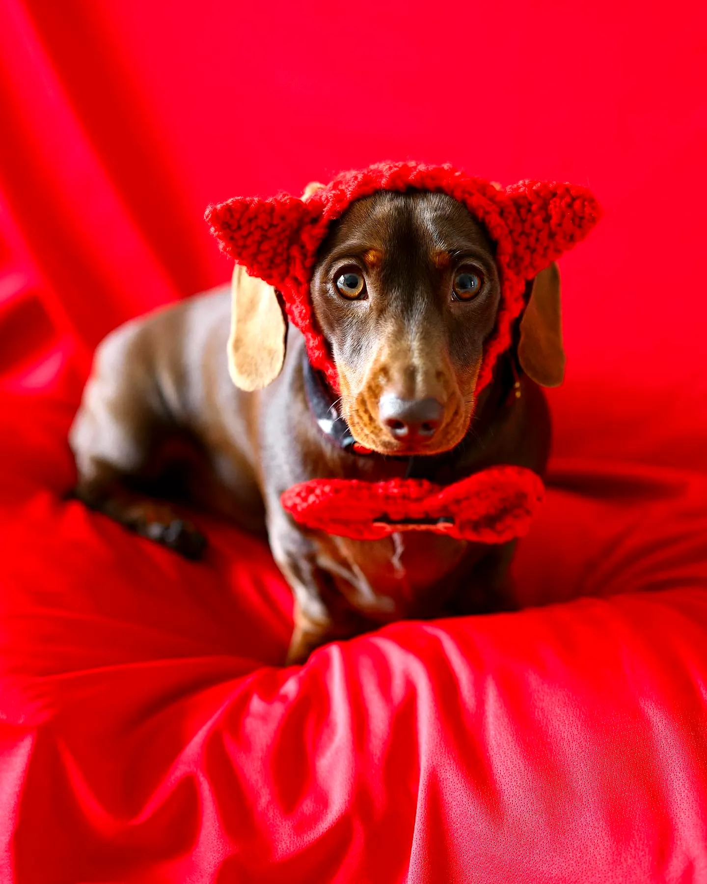 Vibrant Red Crochet Dog Bow Tie for Stylish Pets
